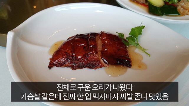 유머저장소 광화문 갔다온글 | 인스티즈