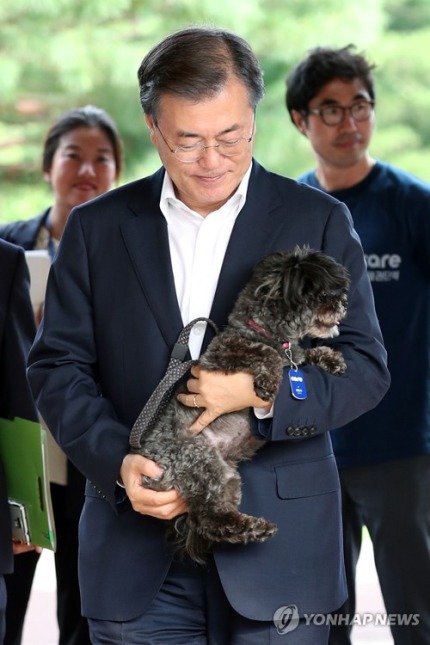 토리가 청와대식구가 되었어요!!! | 인스티즈