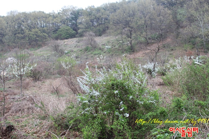 영인산자연휴양림 이미지