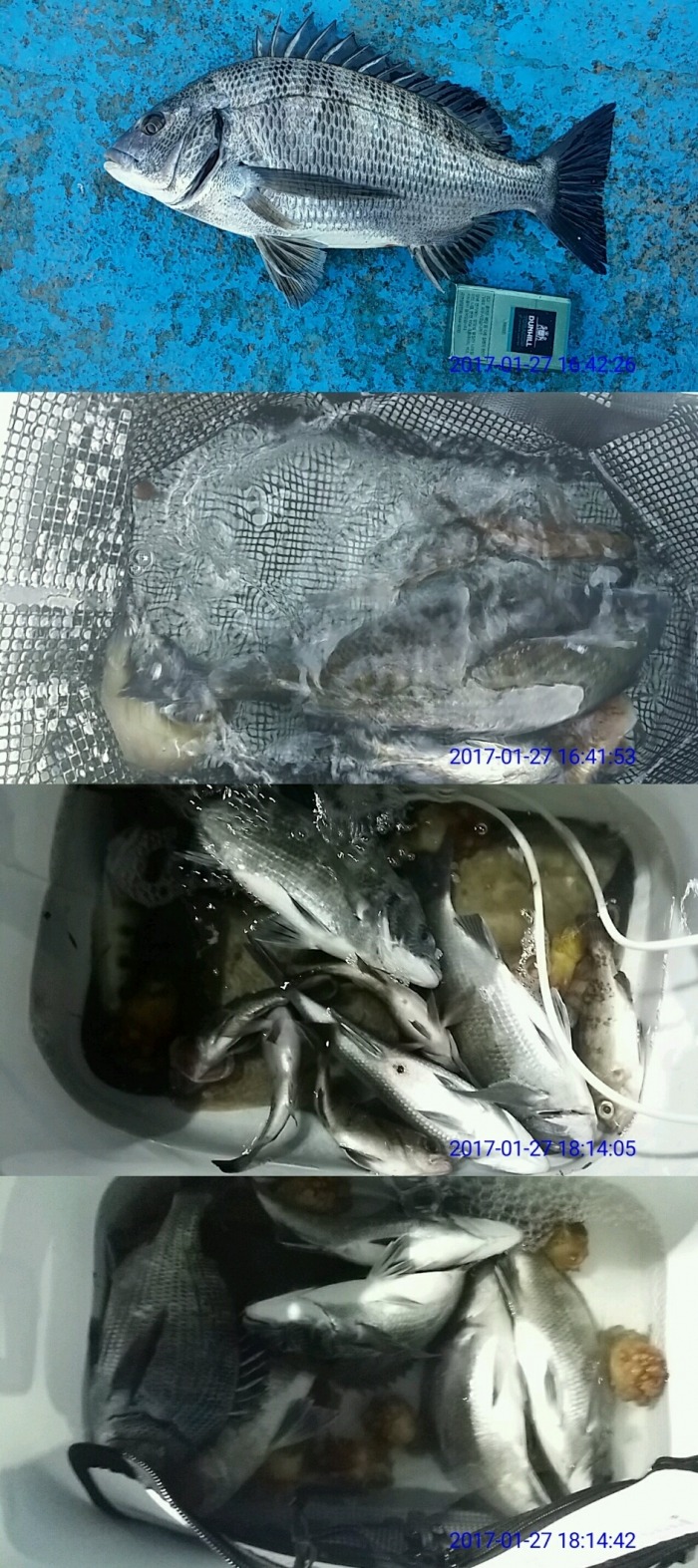 전국선외기 이미지