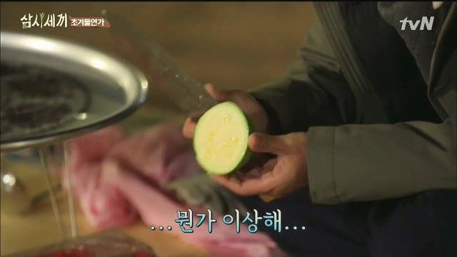 [삼시세끼] 최지우한테 작업거는 이서진(feat.해태)ㅋㅋㅋㅋㅋㅋㅋㅋㅋ.jpg | 인스티즈