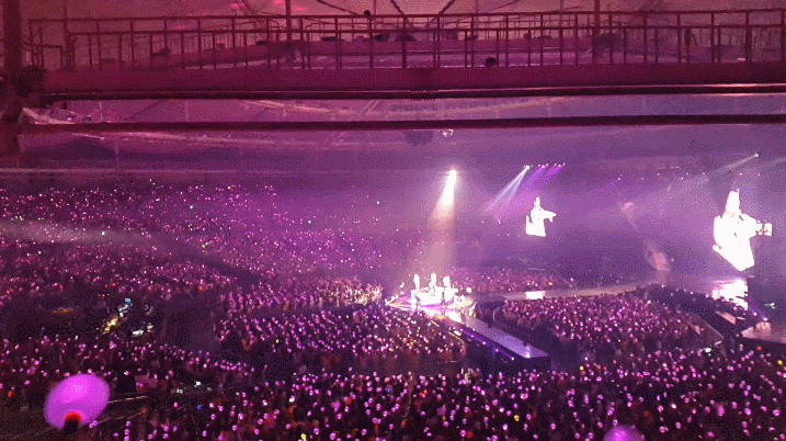 젝스키스 콘서트 관객석.gif | 인스티즈