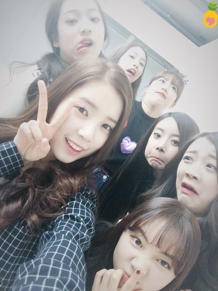 에이프릴+윤채경,조시윤 얼굴몰아주기 | 인스티즈