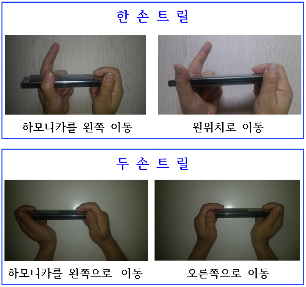 트릴 이미지