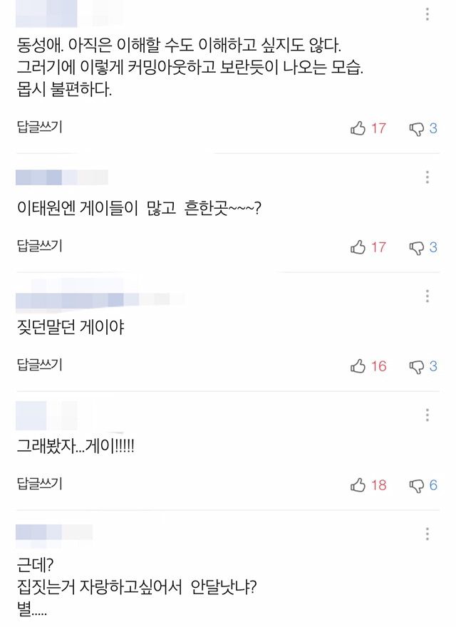 이태원에 집 짓는다는 홍석천 기사에 달린 댓글 수준 +추가) | 인스티즈