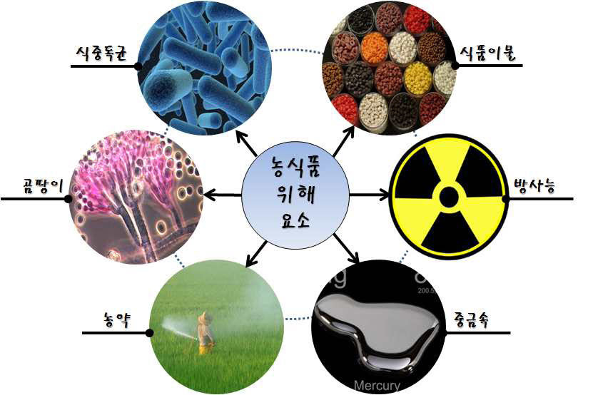 바로농산물 이미지