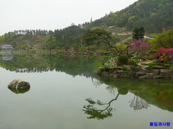 돈세상 이미지