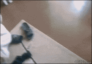 아빠 전화왔어요.gif | 인스티즈