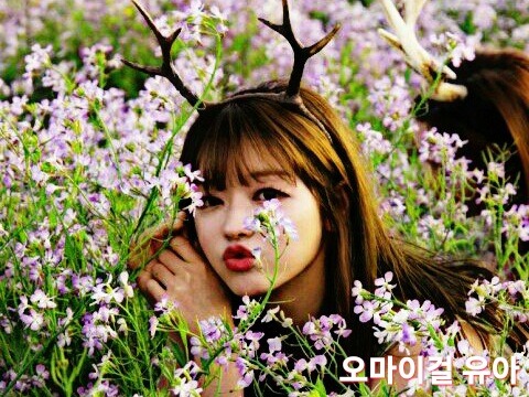 음주운전 사고 형량 | 인스티즈