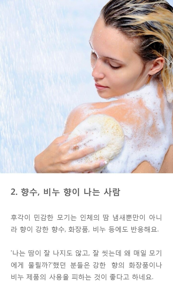 모기에게 잘 물리는 사람들 특징 9가지 | 인스티즈