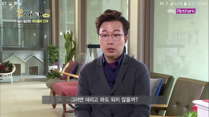 사람에 대한 트라우마가 있는 강아지 딜리 | 인스티즈