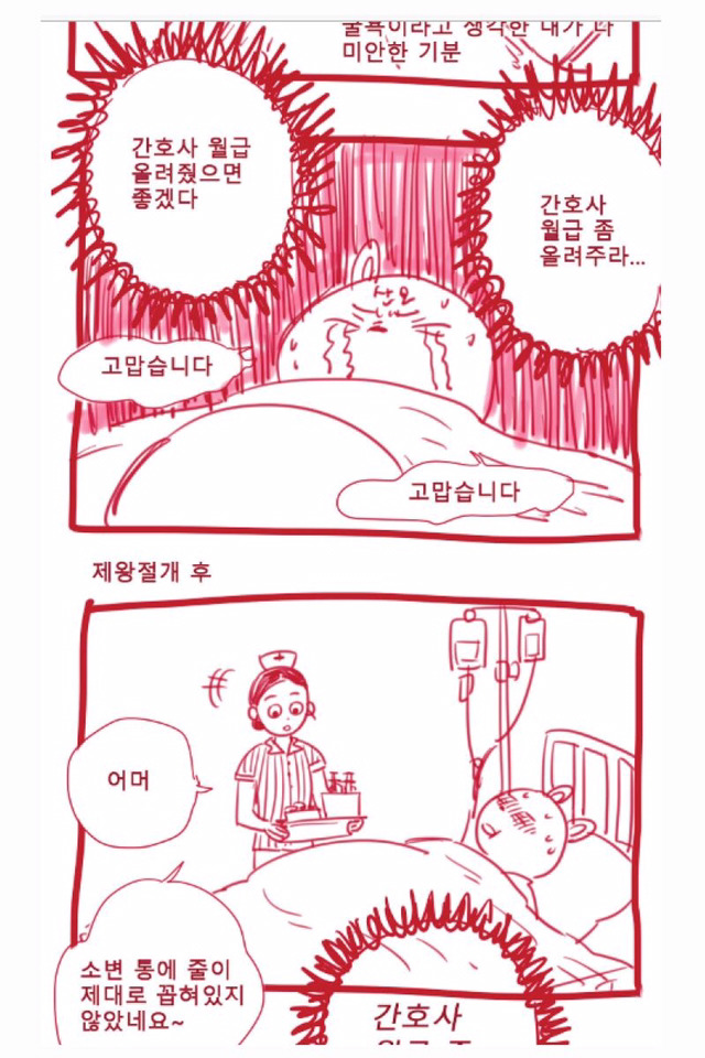 간호사들의 연봉 높은 이유가 무엇? (판 + 만화) | 인스티즈
