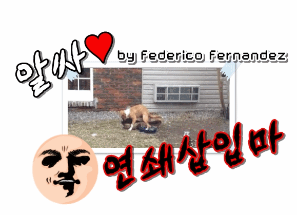 빨간 모자 아이린.jpgif | 인스티즈