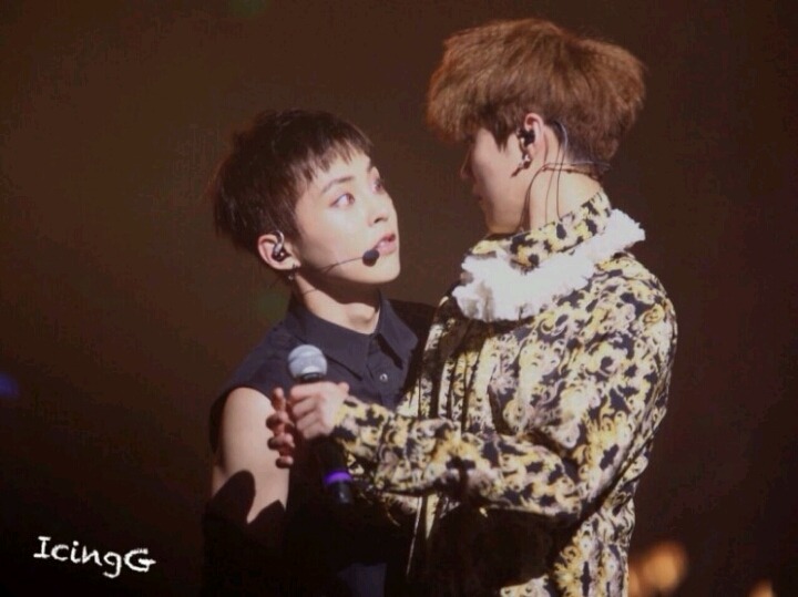 루민 이미지