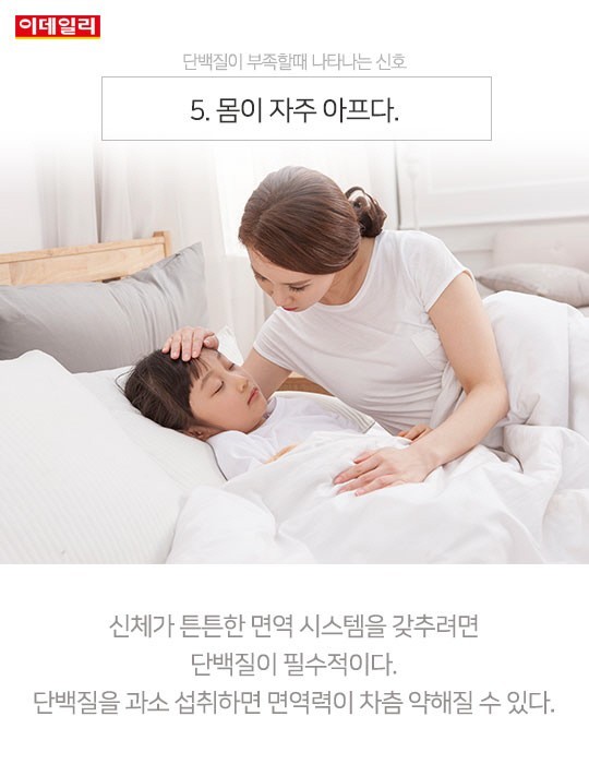  단백질이 부족할때 생기는 신호 6가지 | 인스티즈