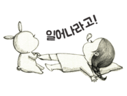 한국아로마크래프트협회 이미지