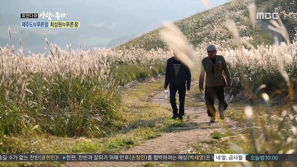 제주도 | 인스티즈