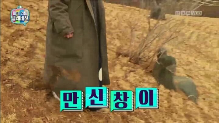 [마리텔] 조련당하는 민아 | 인스티즈