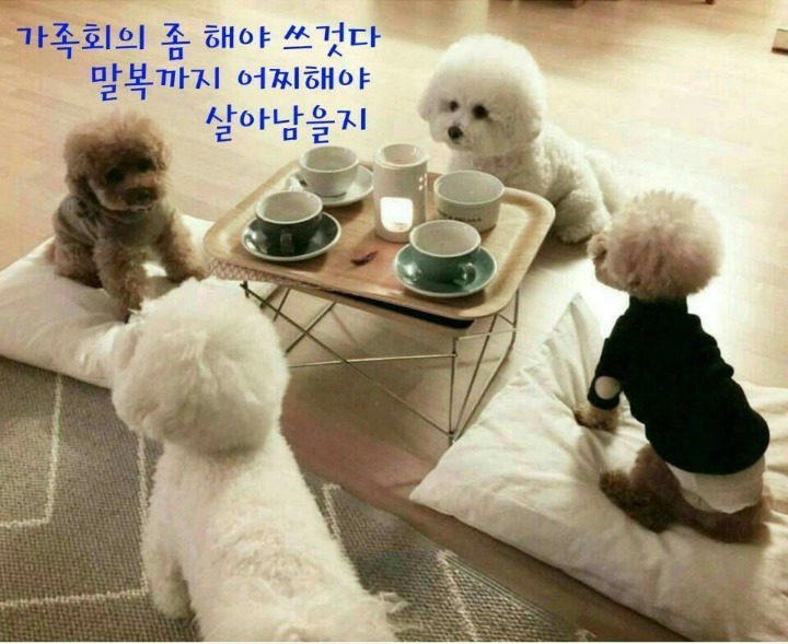복 이미지
