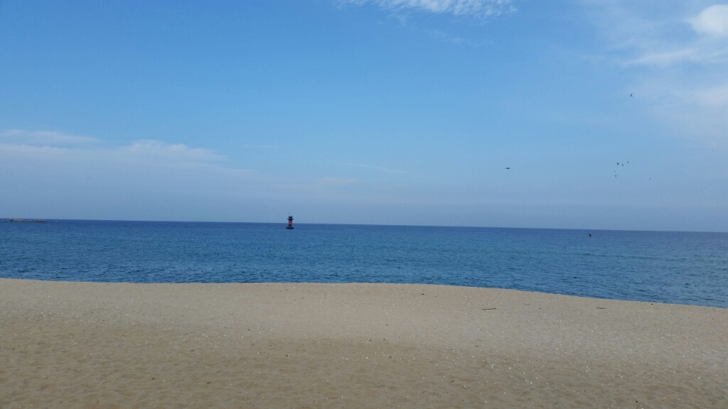 힘내세요 이미지