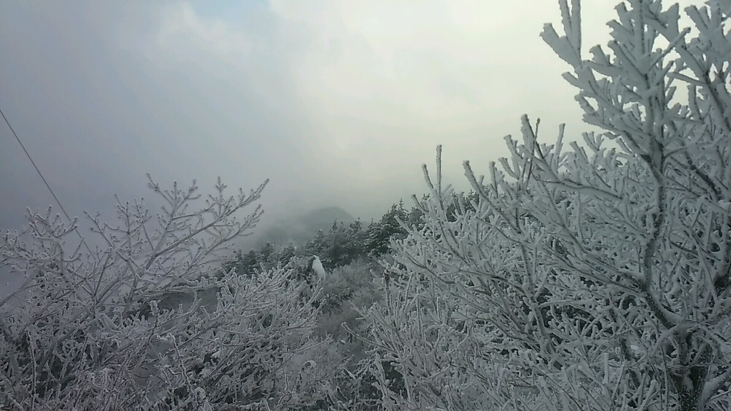 2017년 첫 눈 쌓인 산.jpg | 인스티즈