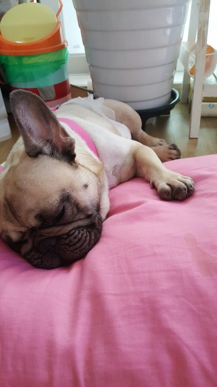 마스 이미지