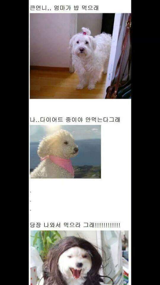 밥은 먹고 다니냐 | 인스티즈