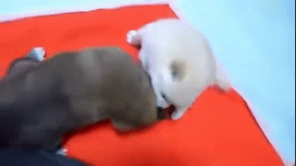 싸우다가 엄마한테 혼남.gif | 인스티즈