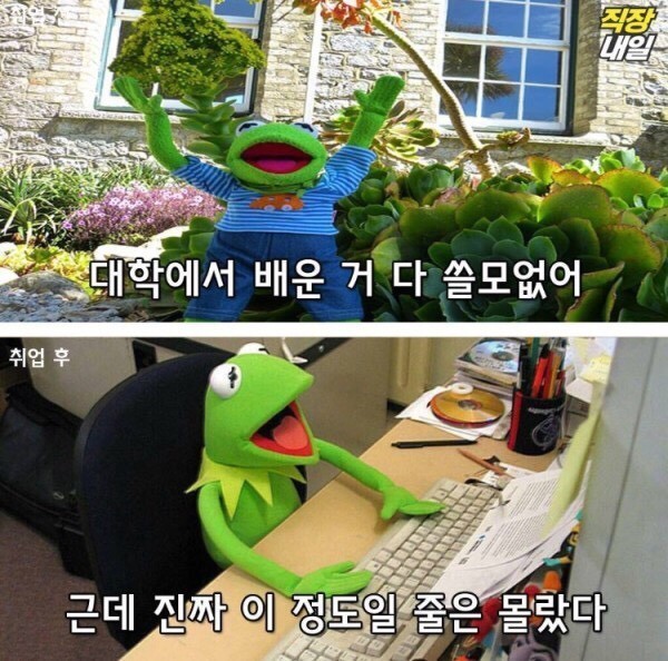 직장인이 되기 전/후 | 인스티즈