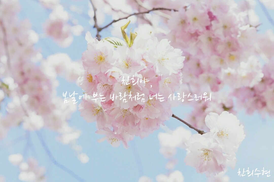 오십칠 이미지