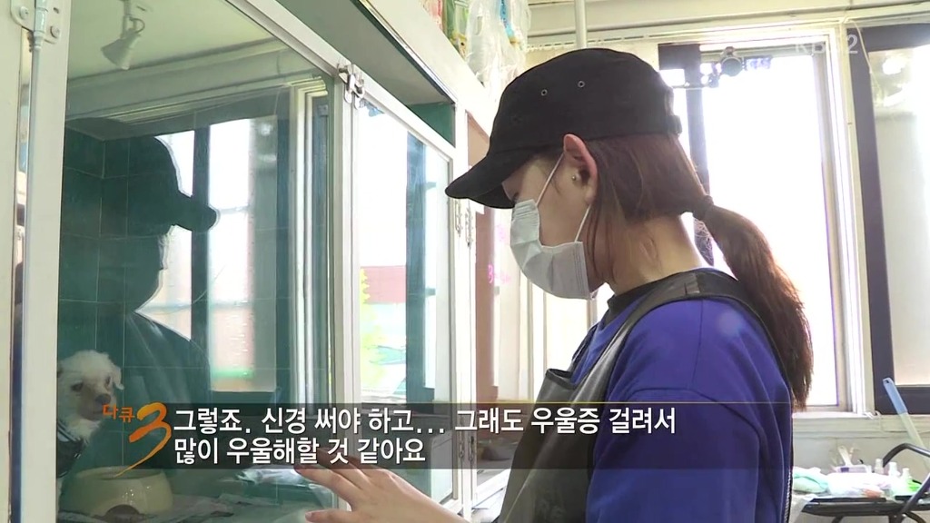 다큐 3일 보면서 안타까웠던 강아지..ㅠㅠ | 인스티즈