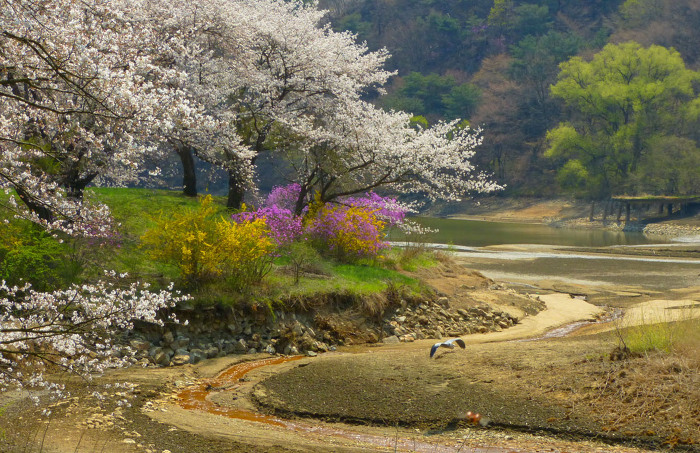 희원 이미지