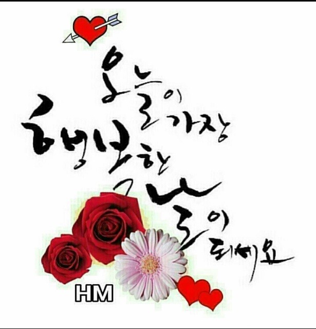 하이소 이미지
