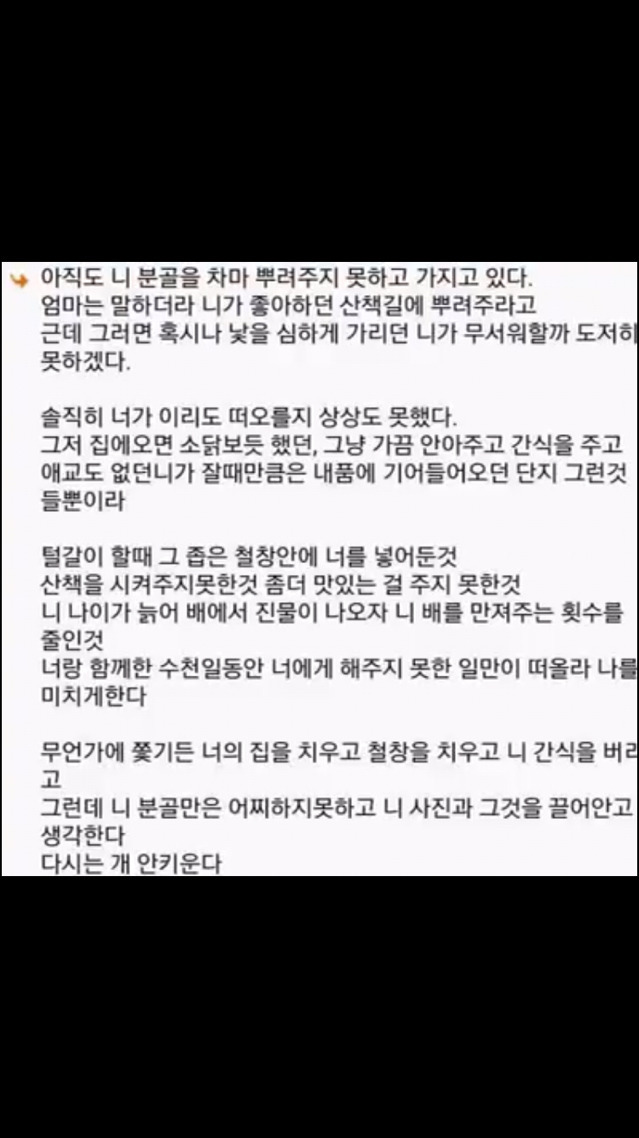 다시는 애완 동물을 키우지 않는 이유 | 인스티즈
