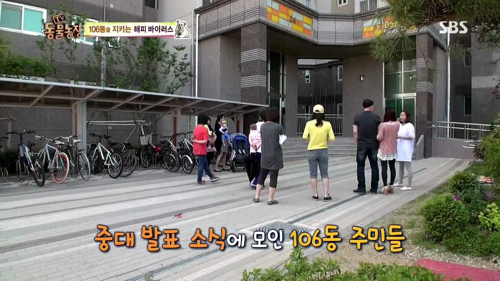 [동물농장] 106동 주민들이 키우는 강아지 | 인스티즈
