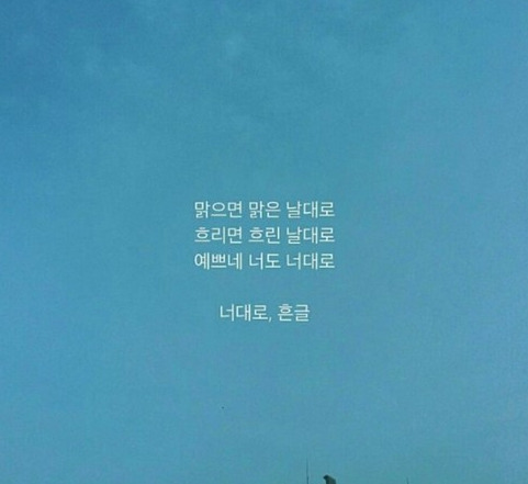 돼지오빠 이미지