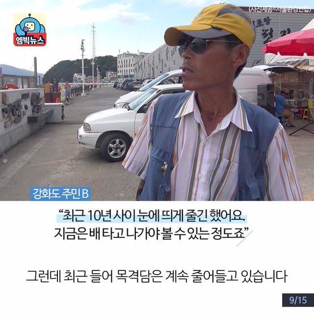 한강에 돌고래가 산다? | 인스티즈