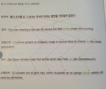 한국어.일본어.영어.불어.독어.스페인어 어순 비교 | 인스티즈