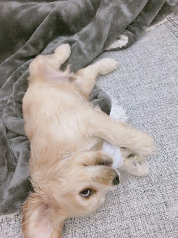 폰이나 컴퓨터에 숨겨진 자기취향사진을 올려보자 | 인스티즈