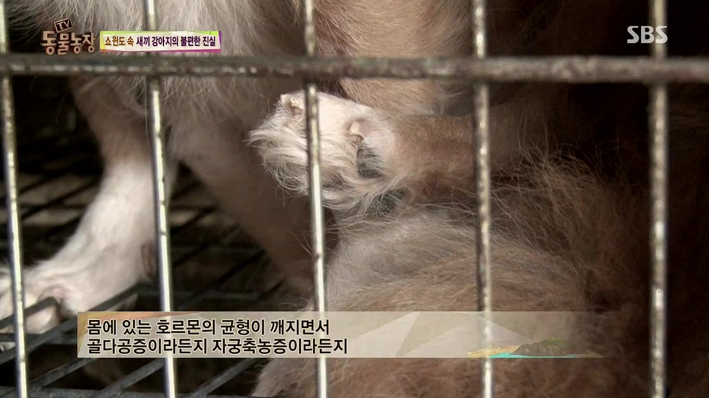 충격과 공포의 오늘자 동물농장(혐오주의) | 인스티즈