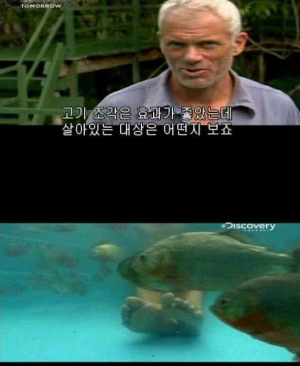 300만원 받고 1분 동안 들어가기 가능? 불가능? | 인스티즈