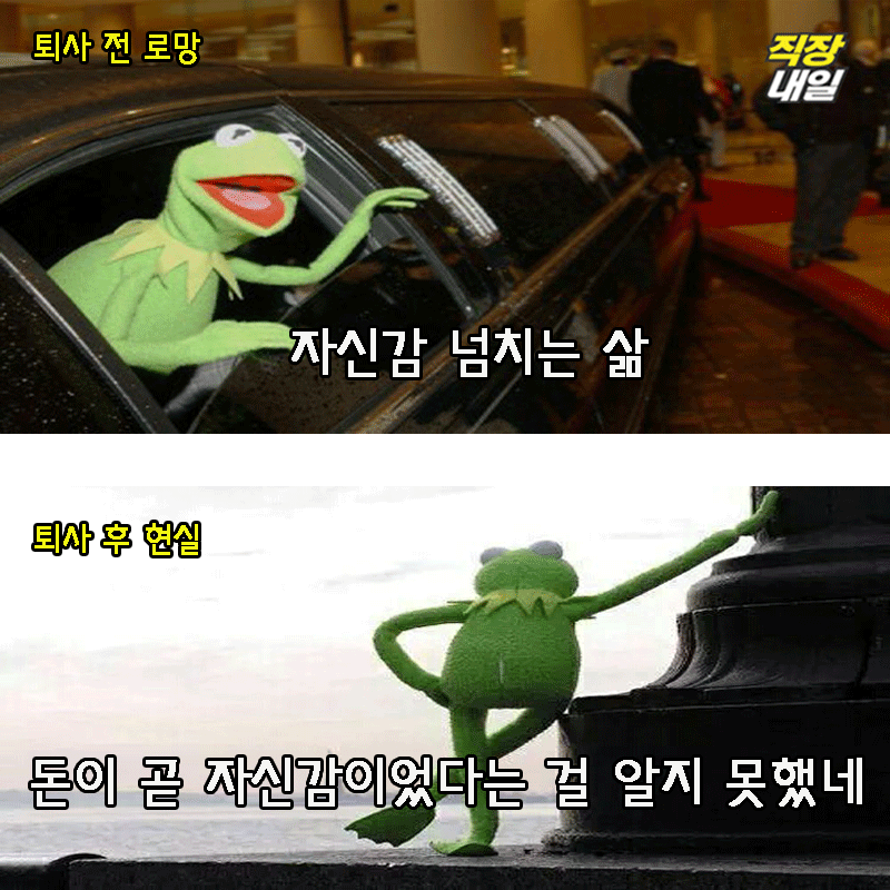 직장인 개구리가 퇴사를 해보았다(팩트폭행 주의) | 인스티즈