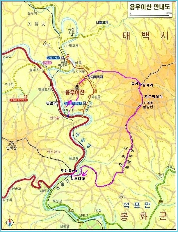 동경장 이미지