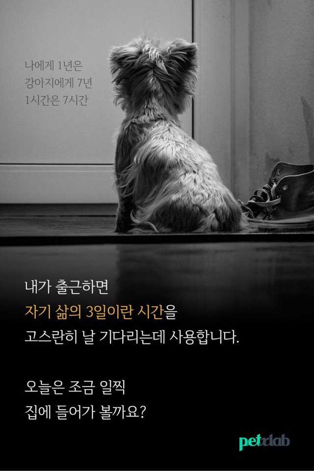 엄마와 강아지의 평행이론 | 인스티즈