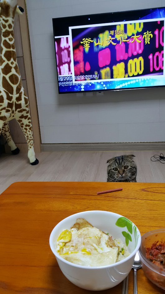 디시인의 매의 눈빛 자취방...동거녀..jpg | 인스티즈