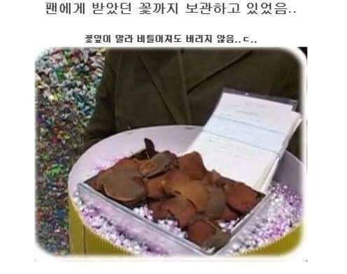 팬들이 15년간준 종이학모은연예인 | 인스티즈