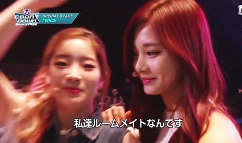 트와이스 서열 | 인스티즈