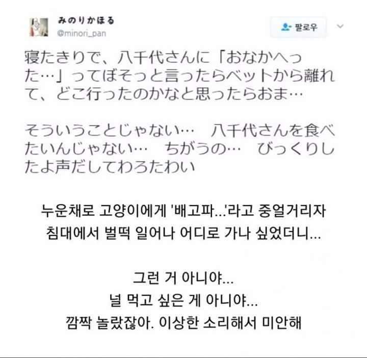 냥이의 착각.jpg | 인스티즈