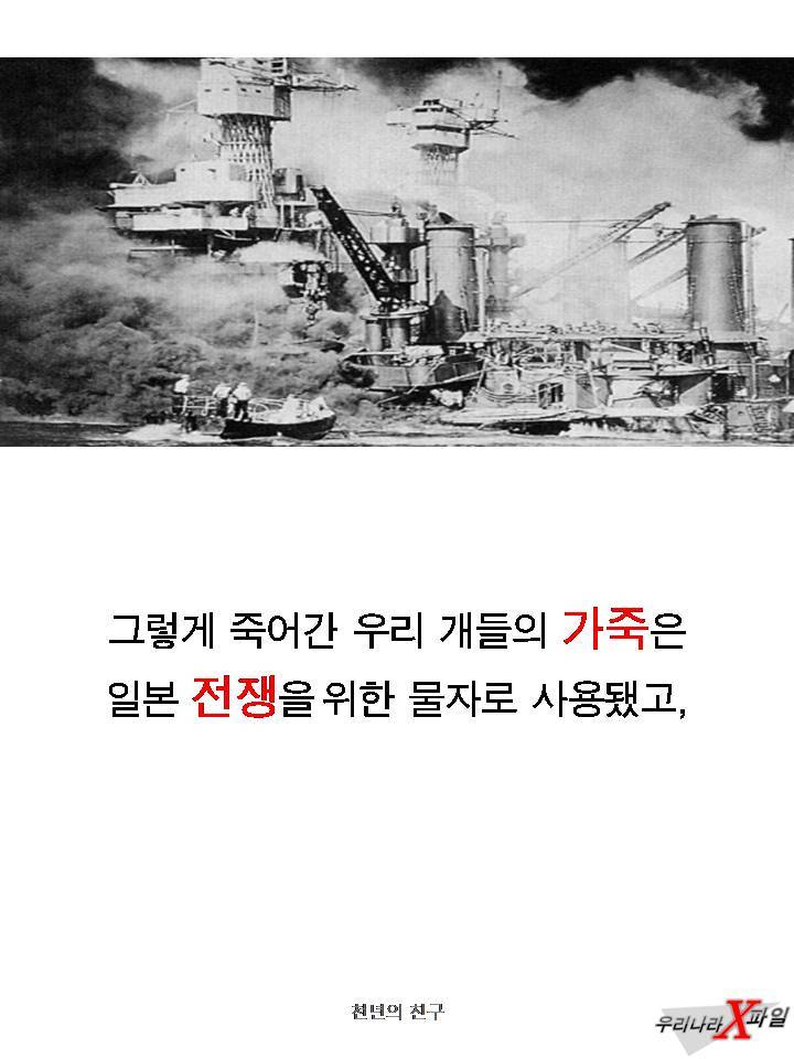 충격적인 개의 실체 ㄷㄷㄷㄷㄷ.JPG | 인스티즈
