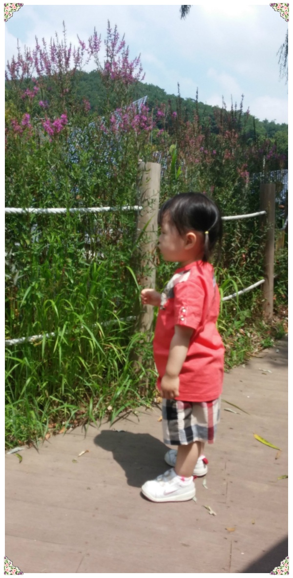 산울림 유아숲체험원 이미지